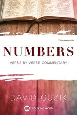 Numbers by David Guzik: Used picture