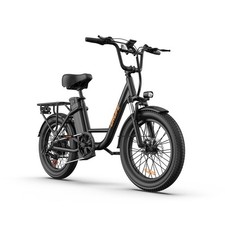 URLIFE Electric Bike 1000W 48V13AH 20