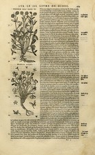 Antique Print-Botany-Clover-Mattioli-p. 473-Anonymous-1572 picture