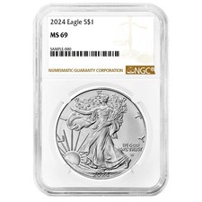2024 $1 American Silver Eagle NGC MS69 Brown Label picture