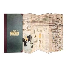 Vintage Adam's Synchronological Chart or Map of History World History Timeline picture