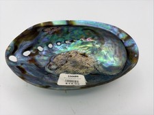 VIntage Fully Polished Abalone Shell Trinket Dish 5