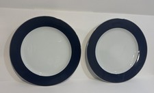 2 Bernardaud Limoges Opaline Blue Service Presentation Charger Plate 11.75