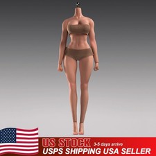 ANT T307 1/6 Female Fitness Suntan Action Figure Body 12inch Muscle Bust Soldier picture