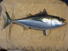  Vintage Tuna Mount picture