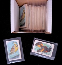 (15) 1938 Church & Dwight 'Useful Birds of America' 2 Sets, ~NM+ *SEWALL* picture