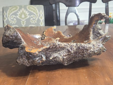 Vtg Burl Wood Centerpiece Dish Live Edge Natural Rustic Organic 1960s 70s Retro picture