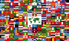 12x18 Stick Flag United Nations Member Set Flags International 193 UN Countries picture