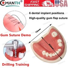 US Dental Teeth Model Gum Periodontitis Suture Drilling Training Dentistry Demo picture
