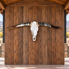Authentic Longhorn Skull 41” Wide Natural Dark Horns Rustic Ranch Decor picture