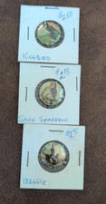 Vintage 1920s Chicago Bird Button Lot Of 3 Magpie Kingbird SongSparrow geraghty picture