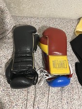 Two Pair Campeon  Chegui Boxing Gloves ( Everlast, Winning, Rival ) picture