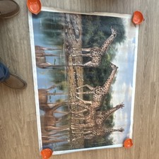 Vintage signed Original oil Painting, buy it now $75.00.  picture