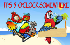 its 5 o clock somewhere flag Jimmy buffet party cocktail beer 3'X5' FEET picture