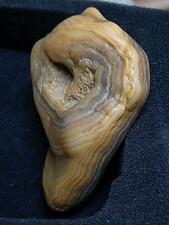 Agate Natural Unique Memphis Tennessee Creek Rough Unpolished Mineral Specimen picture