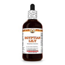 Egyptian Lily (Nymphaea Caerulea) Dried Flower Liquid Herbal Extract picture