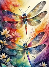 Paint by Numbers Kit for Adults Beginner, Dragonfly, 12X16In | Paint by Number f picture