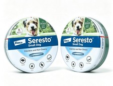 2PACK Adjustable Dogs Collar for Small Dogs Soft Durable Comfortable Pet Collar picture