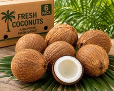 6 Fresh Whole Coconuts Hand Picked Fresh Harvest Mature Brown  picture