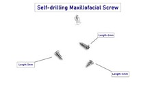 1.5mm Craniotomy self-drilling titanium screw lot of 30 pcs veterinary picture