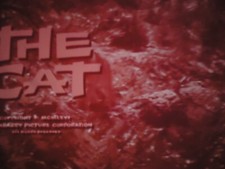 16mm The Cat Peggy Ann Garner Roger Perry Shug Fisher Barry Coe Richard Webb picture