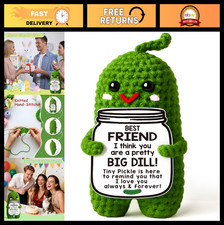 Handmade Crochet Pickle Gag Gift for Women, Best Friends, Coworkers - Fun Desk D picture