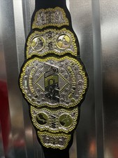 AEW World Champion Replica  Belt Black Strap Gold/Silver Plates Kid Size picture