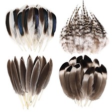 THARAHT 120pcs Natural Feathers Small 4 Styles Bulk for Mix Feathers-brown-2 picture