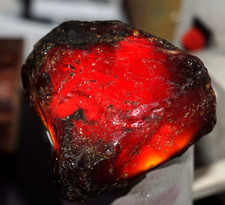 268.45 Ct Natural Honey Baltic Amber Untreated Specimen Certified Rough Gemstone picture