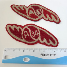 Vintage 1930s High School Chenille winged Letterman's Patches - ? picture