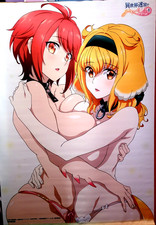 Harem in the Labyrinth of Another World B2 Tapestry: Roxanne & Vesta picture