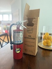 Buckeye 11340 ABC 10 lb Multipurpose Dry Chemical Hand Held Fire Extinguisher picture
