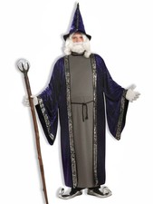 Forum Novelties Wizard_plus Adult Costume picture