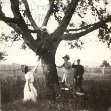 1908 Boy Climbing Tree Edwardian Fashion Snapshot Photo Women Straw Hats Field picture