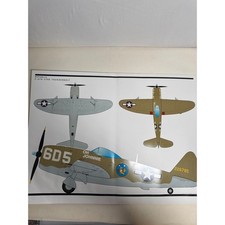 Vintage Woody Vondracek P-47D Thunderbolt Aviation Art Print Green Good picture