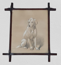 Sir Edwin Landseer Drawing of a Dog Pencil & Conte Crayon on Paper Unsigned picture