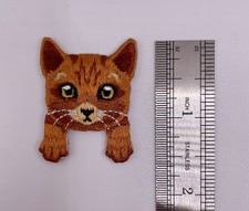 Deep Orange Cat Brown Cat Iron On Patch picture