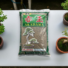 Hard Japanese Akadama for Bonsai Soil picture