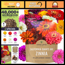 Bulk Zinnia Seeds - California Giants Mix - 1 lb Bag, 48,000+ Colorful Flower Se picture