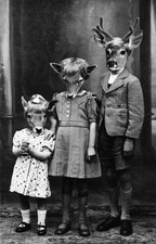 Creepy deer heads circa 1900 8.5x11 Photo Reprint picture