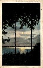 Moonlight on Indian River, Florida - 1926 Postcard picture