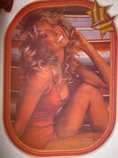 FARRAH FAWCETT ICONIC SWIMSUIT VINTAGE 1970's CLASSIC IRON ON TRANSFER NICE B-15 picture