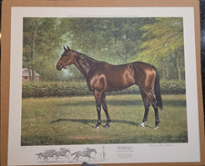 1978 Richard Stone Reeves Print, Forego, Great American Champion, 450/600 picture
