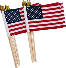 12 Pack Small American Flags on Stick Small US Flags/Mini American Flags for Out picture