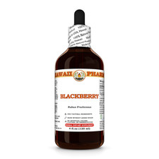 Blackberry (Rubus Fruticosus) Dried Leaf Liquid Herbal Extract picture