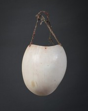 MAN’S PECTORAL, “Pakol”, Mendi Valley. Southern Highlands, Papua New Guinea picture