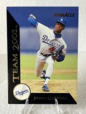 1993 Pinnacle - Team 2001 Pedro Martinez #14 picture