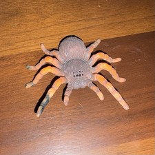 tarantula figure picture