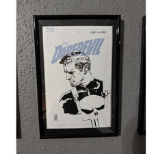 Marvel Daredevil & Punisher Framed Signed Poster by Alex Maleev 1/1 picture