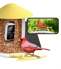 NETVUE Birdfy Smart Bird Feeder 2K AI Camera Solar Powered picture